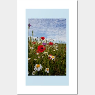 English Wild Flowers Posters and Art